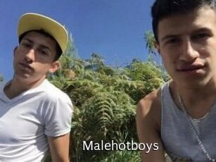 Malehotboys