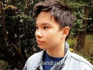 Mandi2013
