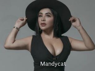 Mandycat