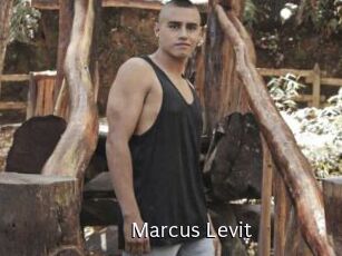 Marcus_Levit