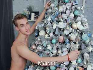 MarvinFrey