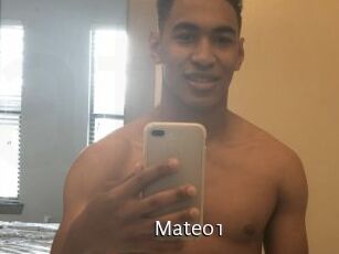 Mateo1