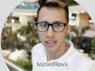 MateoHawk