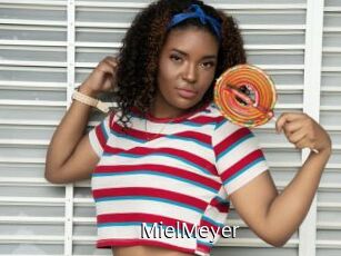MielMeyer Anal Fist