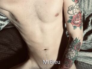 MrBleu