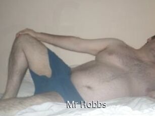 Mr_Hobbs