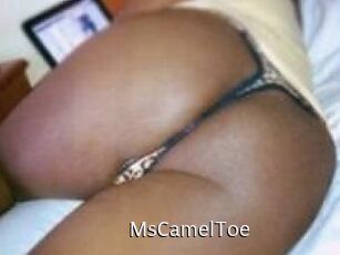 MsCamelToe