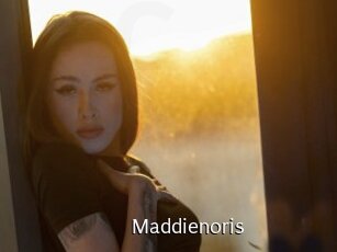 Maddienoris