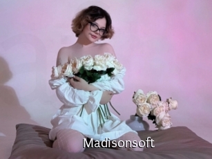 Madisonsoft