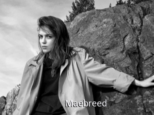 Maebreed