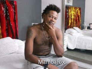 Mambafox