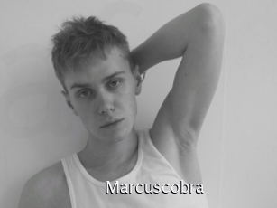 marcuscobra Anal Fist