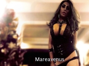 Mareavenus