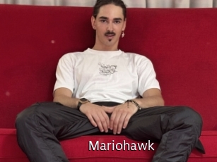 Mariohawk