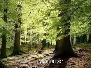 Martiaitor
