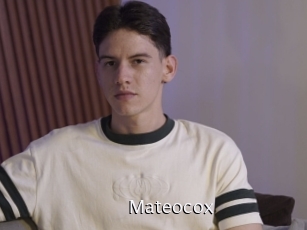 mateocox Anal Fist