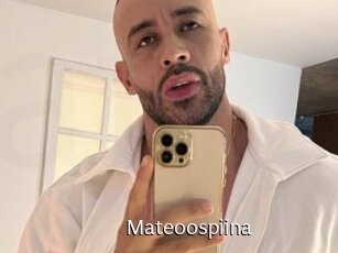 Mateoospiina