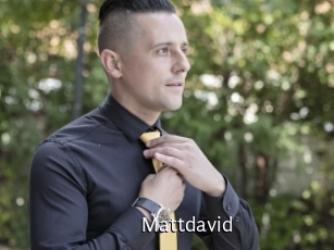 mattdavid Anal Fist