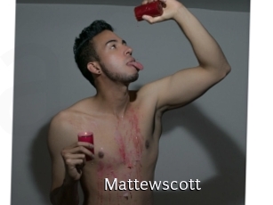 mattewscott Anal Fist