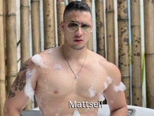 Mattseil