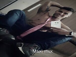 Maxi_mux