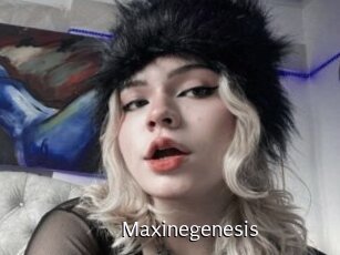 Maxinegenesis