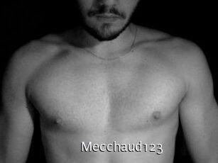 Mecchaud123