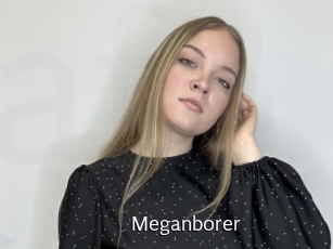 Meganborer