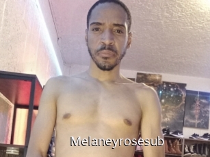 Melaneyrosesub