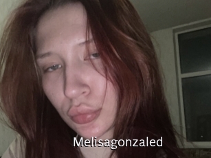 Melisagonzaled