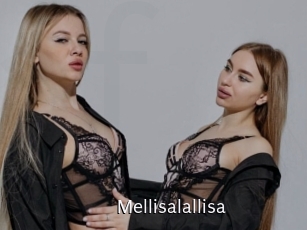 Mellisalallisa