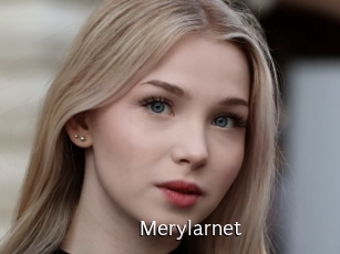 Merylarnet