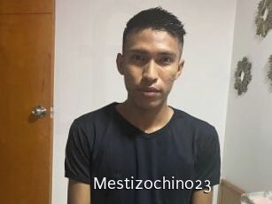 Mestizochino23