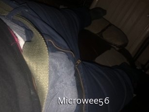 Microwee56