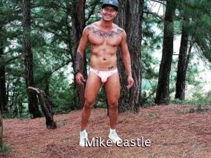 Mike_castle
