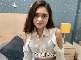 Mini_puca