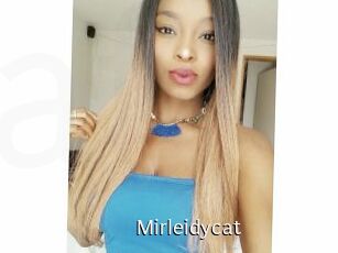 Mirleidycat