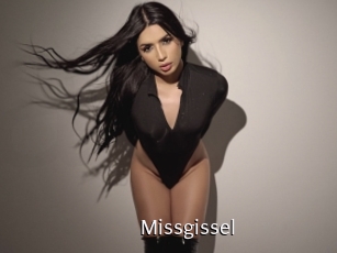 Missgissel