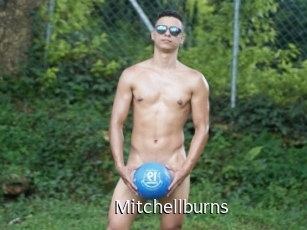 Mitchellburns