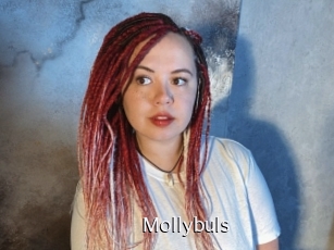 Mollybuls