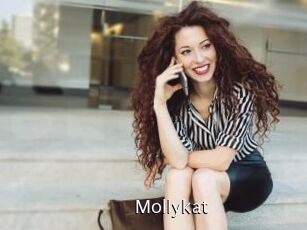 Mollykat