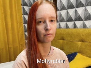Mollyrabbit