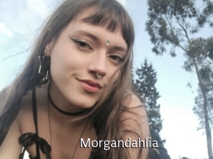 Morgandahlia