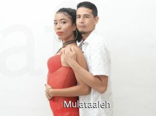 Mulataaleh