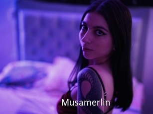 Musamerlin