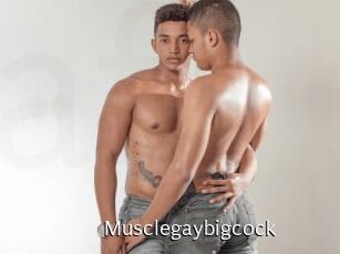 Musclegaybigcock