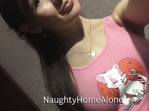 NaughtyHomeAlone