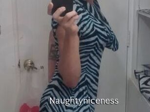 Naughtyniceness