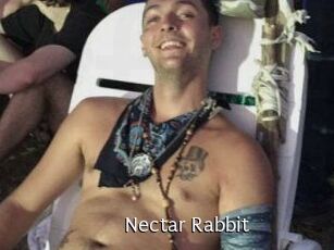 Nectar_Rabbit