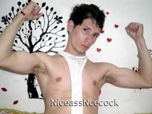 NiceassNcecock